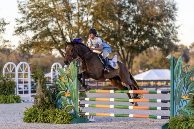 Equestrian rider dressed as Dorothy from The Wizard of Oz jumps a colorful obstacle during the United Way of Marion County Children’s Charity Classic event in Ocala, Florida